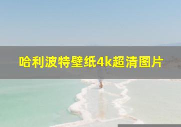 哈利波特壁纸4k超清图片