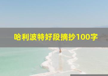 哈利波特好段摘抄100字