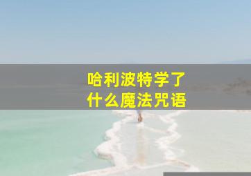 哈利波特学了什么魔法咒语