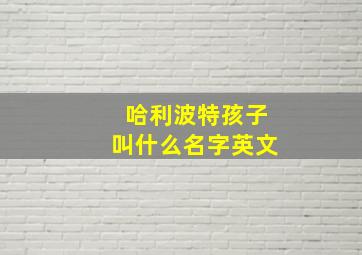 哈利波特孩子叫什么名字英文