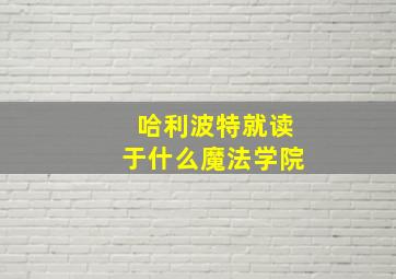 哈利波特就读于什么魔法学院