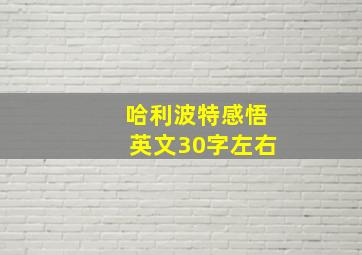 哈利波特感悟英文30字左右