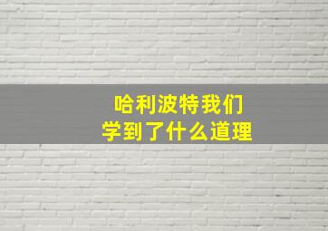 哈利波特我们学到了什么道理