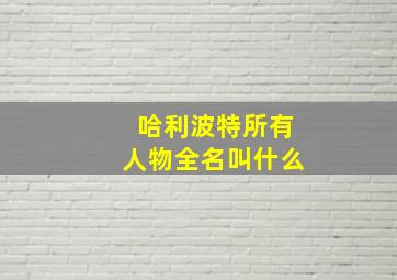 哈利波特所有人物全名叫什么