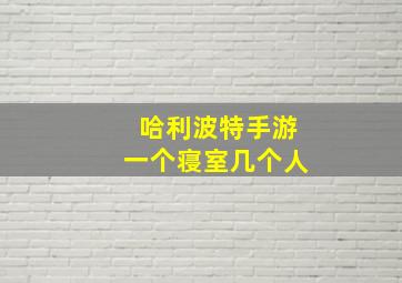 哈利波特手游一个寝室几个人