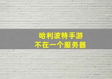 哈利波特手游不在一个服务器