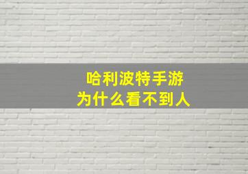 哈利波特手游为什么看不到人