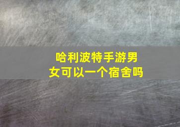 哈利波特手游男女可以一个宿舍吗