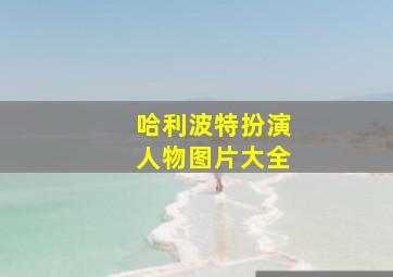 哈利波特扮演人物图片大全