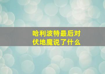 哈利波特最后对伏地魔说了什么