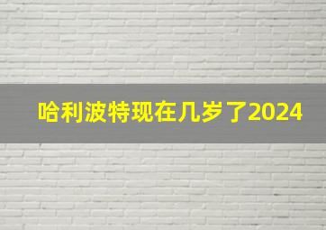 哈利波特现在几岁了2024