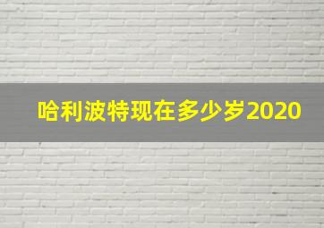 哈利波特现在多少岁2020