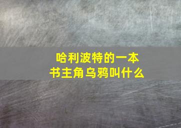 哈利波特的一本书主角乌鸦叫什么