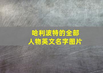 哈利波特的全部人物英文名字图片