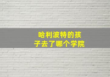 哈利波特的孩子去了哪个学院