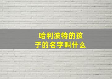 哈利波特的孩子的名字叫什么