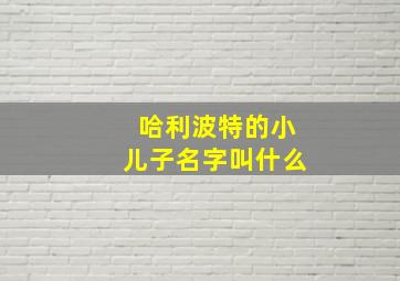 哈利波特的小儿子名字叫什么