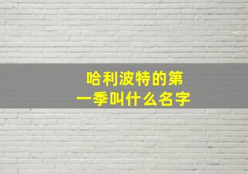 哈利波特的第一季叫什么名字