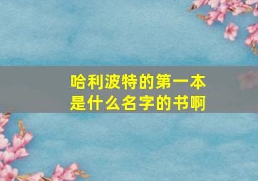 哈利波特的第一本是什么名字的书啊