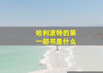 哈利波特的第一部书是什么