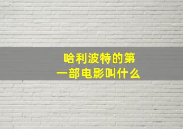 哈利波特的第一部电影叫什么