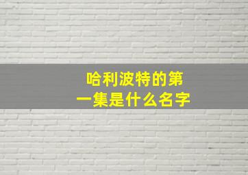 哈利波特的第一集是什么名字