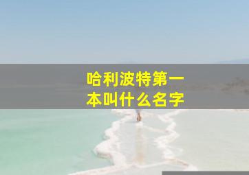 哈利波特第一本叫什么名字