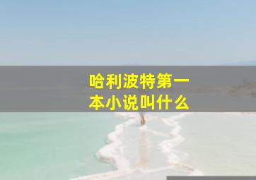 哈利波特第一本小说叫什么