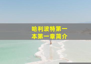 哈利波特第一本第一章简介