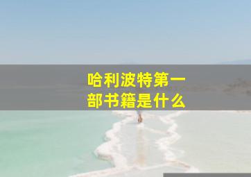 哈利波特第一部书籍是什么