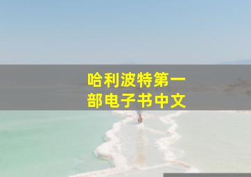 哈利波特第一部电子书中文