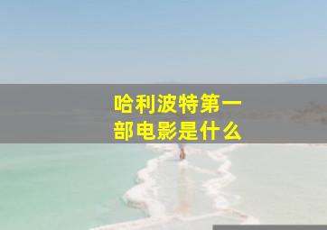 哈利波特第一部电影是什么