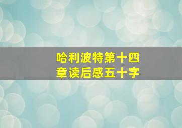 哈利波特第十四章读后感五十字