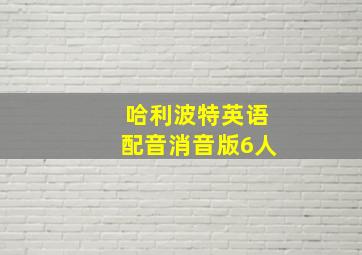 哈利波特英语配音消音版6人