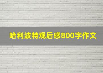 哈利波特观后感800字作文