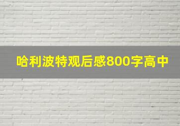 哈利波特观后感800字高中