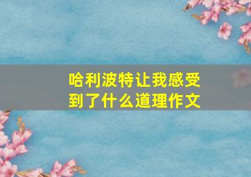 哈利波特让我感受到了什么道理作文