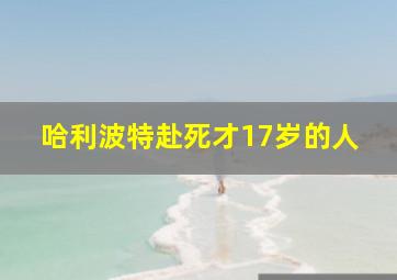 哈利波特赴死才17岁的人