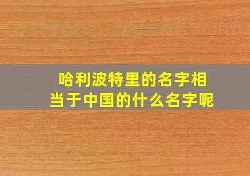 哈利波特里的名字相当于中国的什么名字呢