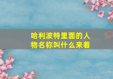 哈利波特里面的人物名称叫什么来着