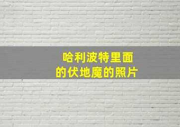 哈利波特里面的伏地魔的照片