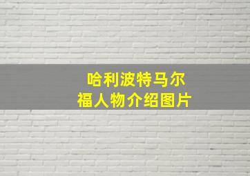 哈利波特马尔福人物介绍图片