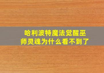 哈利波特魔法觉醒巫师灵魂为什么看不到了