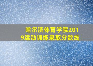 哈尔滨体育学院2019运动训练录取分数线