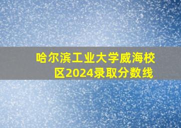 哈尔滨工业大学威海校区2024录取分数线