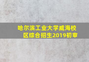 哈尔滨工业大学威海校区综合招生2019初审