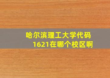 哈尔滨理工大学代码1621在哪个校区啊