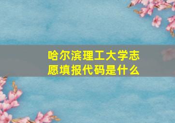 哈尔滨理工大学志愿填报代码是什么