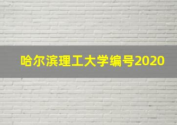 哈尔滨理工大学编号2020