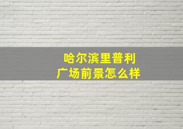 哈尔滨里普利广场前景怎么样